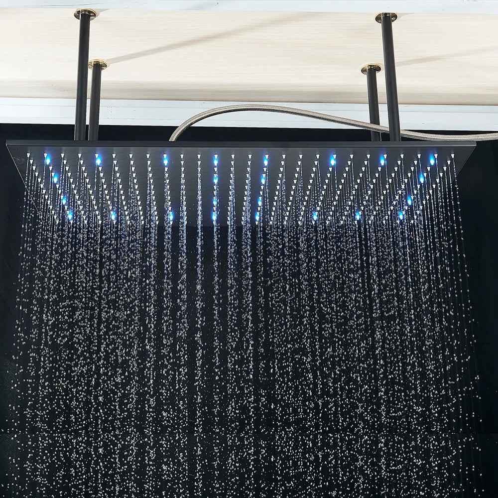 Rozin LED Shower Head Ceiling Mounted Rainfall With Arm