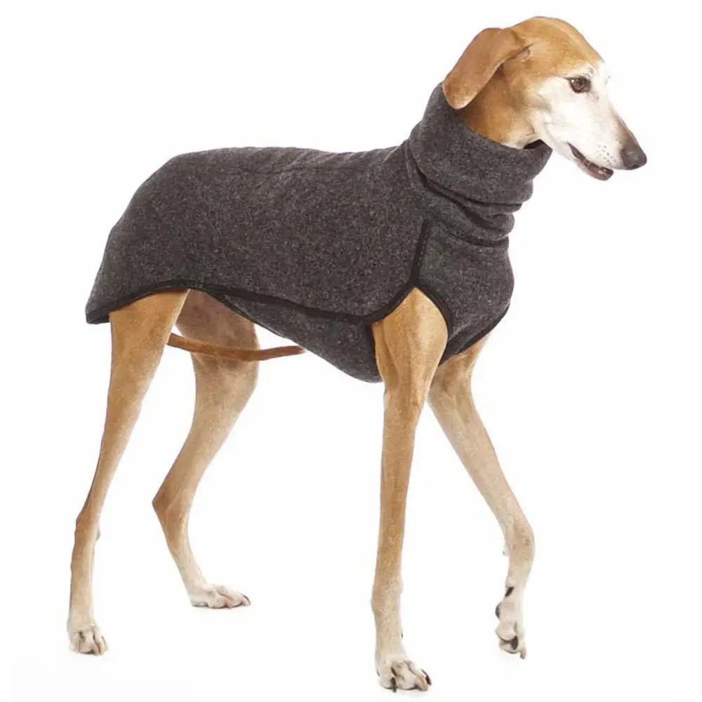 Winter Dog Harness Hoodie Coat With High Collar Sweater