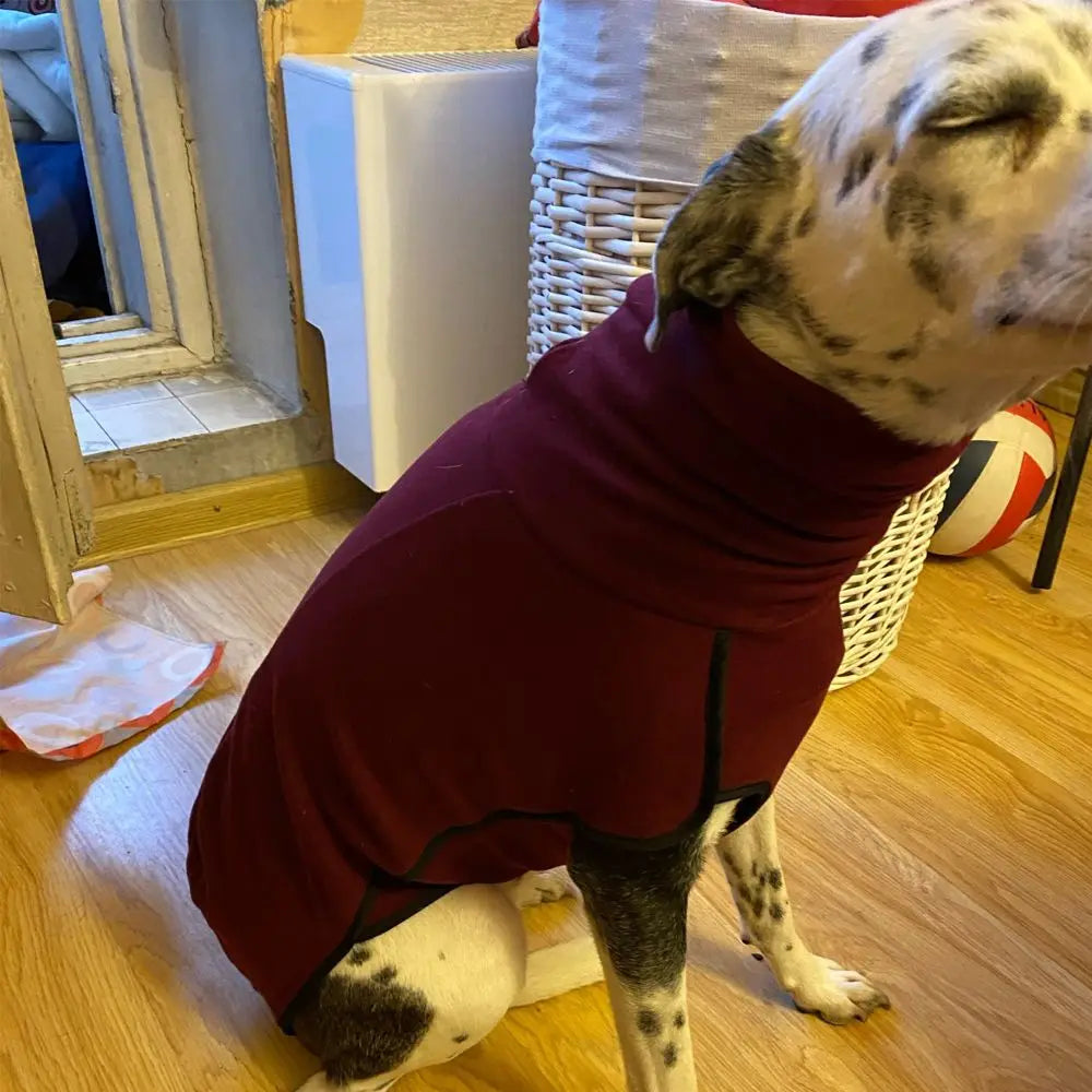 Winter Dog Harness Hoodie Coat With High Collar Sweater